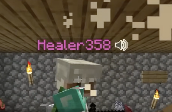 Figure 1: Example of the Healer358 pseudonym format from Trial 0